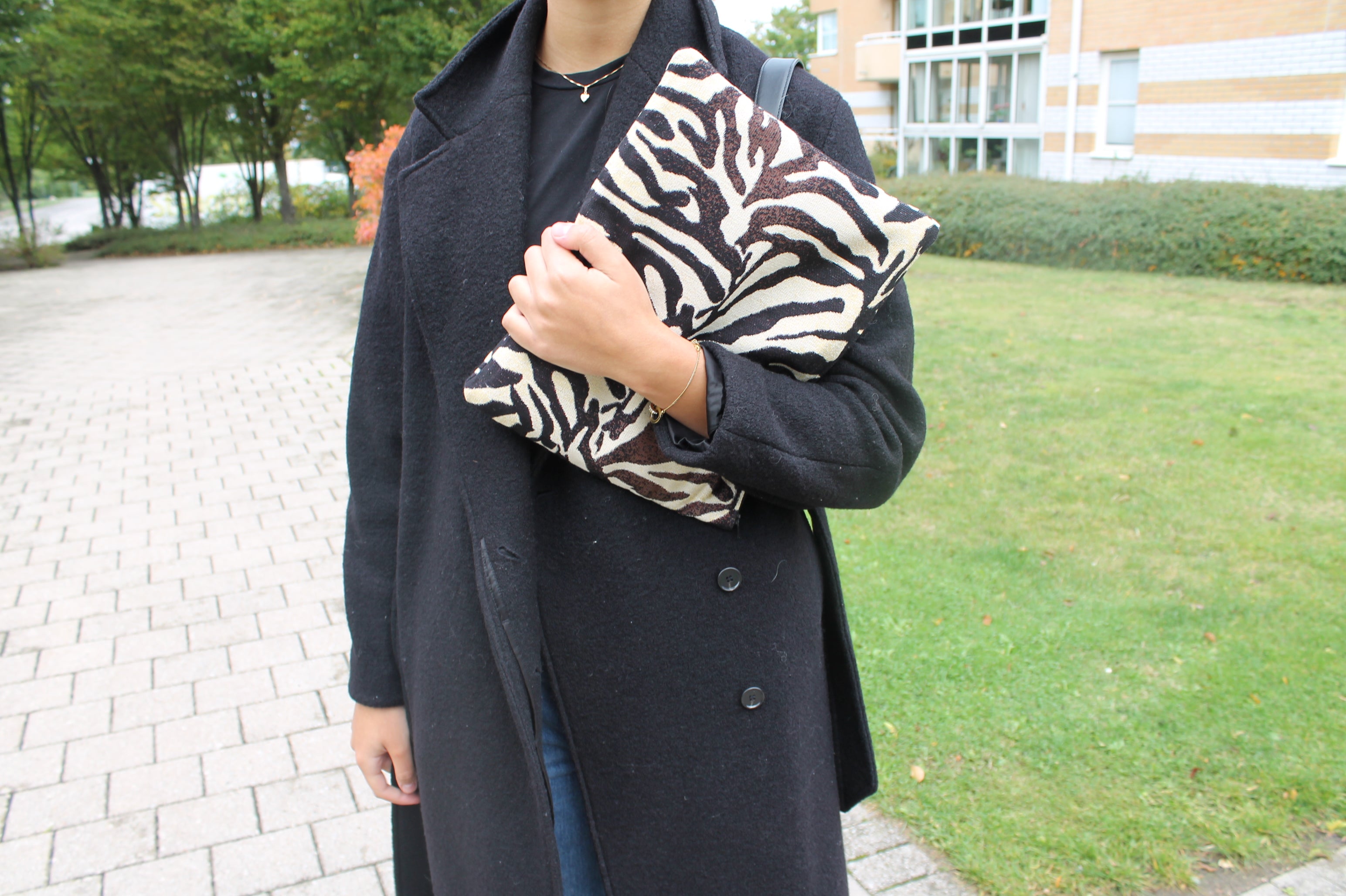 Zebra Case